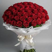 Букет 101 Красная роза Блэк Мэджик в Лычково