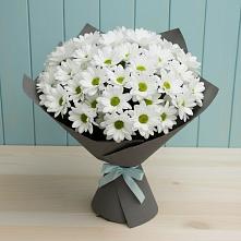 Букет цветов из:  Хризантемы #REPLACE_PRED# Лычково