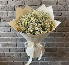 Букет цветов из:  Ромашки в Лычково