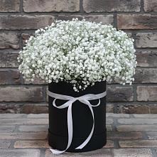 Цветочная композиция из Гипсофила в шляпной коробке #REPLACE_PRED# Лычково