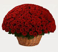 Премиум букет из: Розы в Лычково