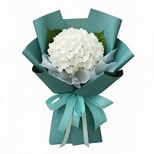 Букет цветов из:  Гортензия #REPLACE_PRED# Лычково